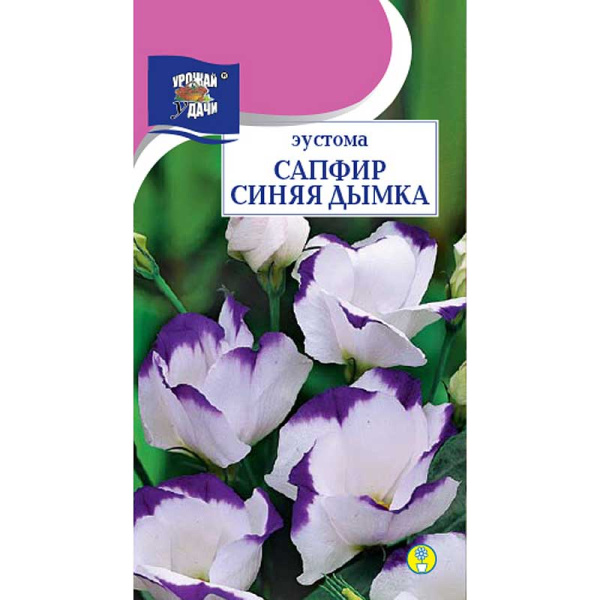 Эустома Сапфир Синяя Дымка Урожай у дачи Ц 