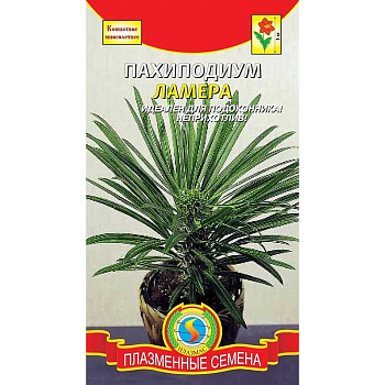 КОМ Пахиподиум Ламера Плазма Ц 