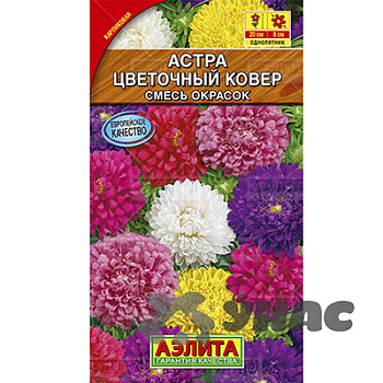 Астра Цветочный ковер смесь Аэлита Ц 