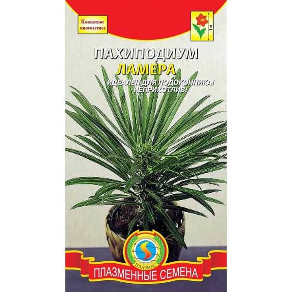 КОМ Пахиподиум Ламера Плазма Ц 