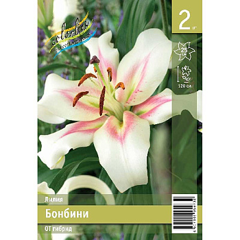 Лилия Бонбини 12/14 2 Эконом шт 