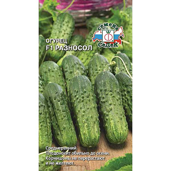Огурец Разносол Седек Ц