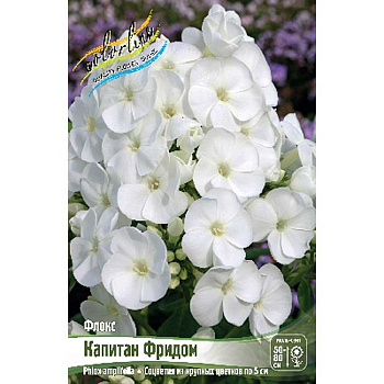 16330 Биг-Пак Флокс Капитан Фридом I 25 шт 