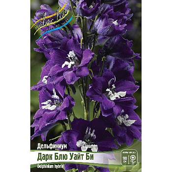 Дельфиниум Дарк Блю Уайт Би 3/5 n 1 шт