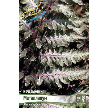 Кочедыжник Металликум I 1 шт