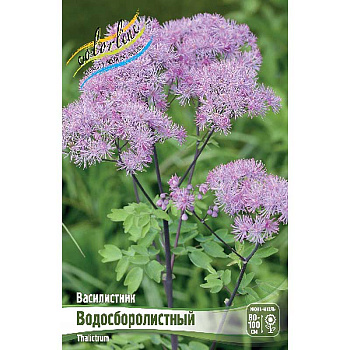 Василистник Водосборолистный I 1 шт