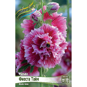 8515 Биг-пак Мальва Фиеста Тайм I 25 шт