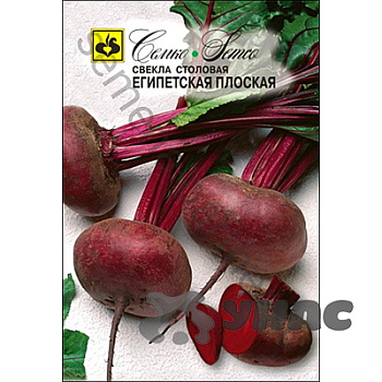 Свекла Египетская плоская Семко Ц