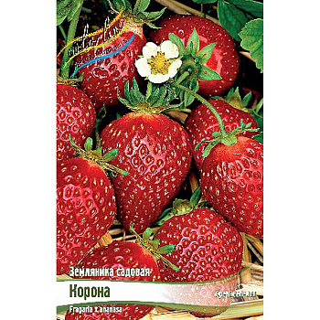 8220 Биг-Пак Земляника Садовая Корона A 100 шт 