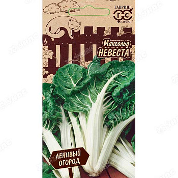 Мангольд Невеста Гавриш Ц