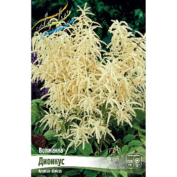 Волжанка Диоикус I 25 шт Биг-Пак 550