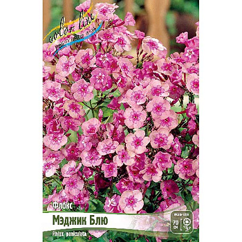 Флокс Мэджик Блю I 25 шт Биг-Пак 3688 