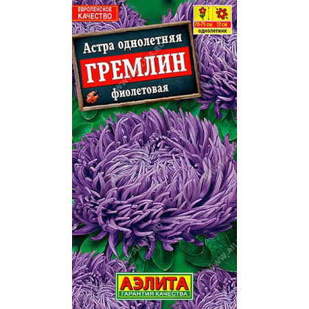 Астра Гремлин Фиолетовая Аэлита Ц 