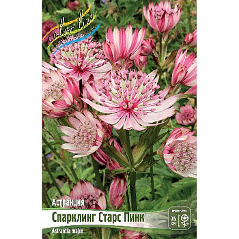 9969 Биг-Пак Астранция Спарклинг Старс Пинк I 25 шт