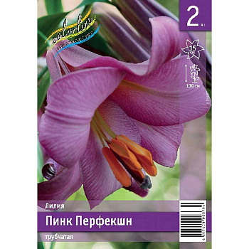 Лилия Пинк Перфекшн 12/14 2 Эконом шт