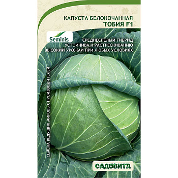 Капуста Тобия б/к F1 10шт Seminis/Садовита Ц