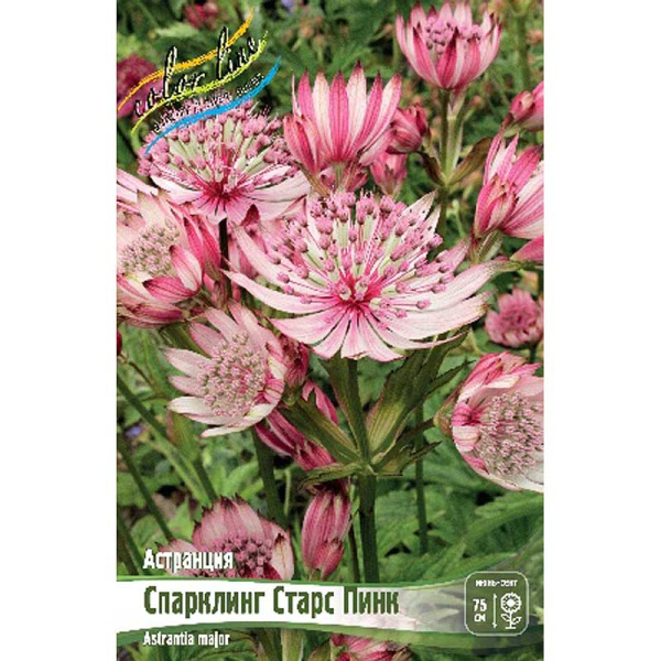 9969 Биг-Пак Астранция Спарклинг Старс Пинк I 25 шт