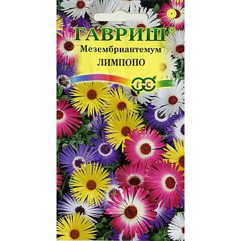 Мезембриантемум Лимпопо  Гавриш Ц 