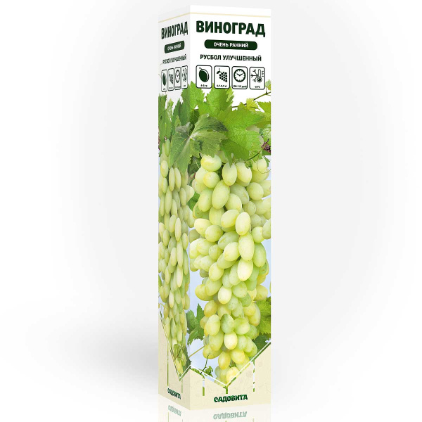 Виноград Русбол улучшенный очень ранний Садовита