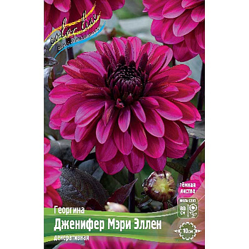 9424 Шоу-Бокс Георгина Дженифер Мэри Эллен 15 шт 