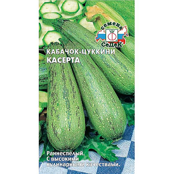 Кабачок Касерта Седек Ц