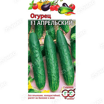 Огурец Апрельский  Гавриш Ц