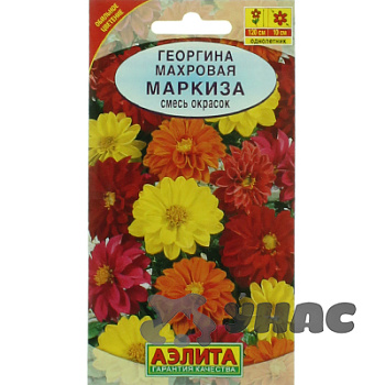 Георгин Маркиза смесь Аэлита Ц 