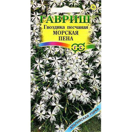 Гвоздика песчаная Морская пена Гавриш Ц 