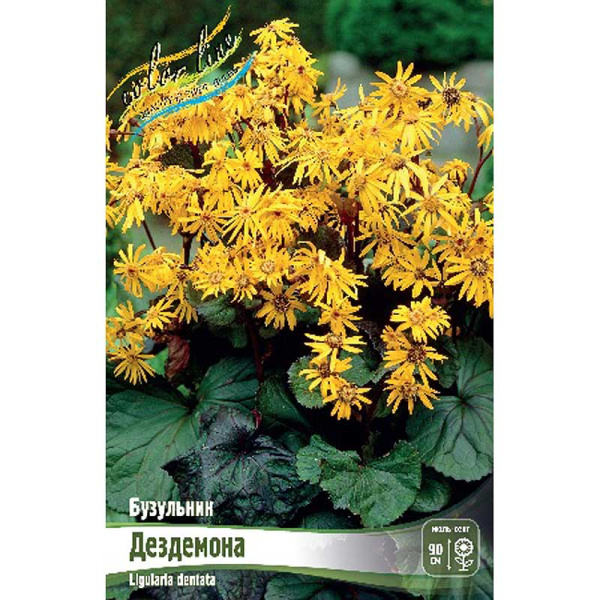 8325 Биг-Пак Бузульник Дездемона I 25 шт