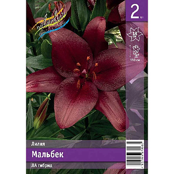 Лилия Мальбек 12/14 2 Эконом шт 