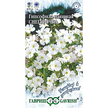 Гипсофила Снегурочка изящная Гавриш Ц 