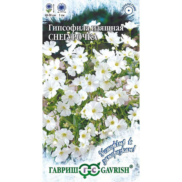 Гипсофила Снегурочка изящная Гавриш Ц 