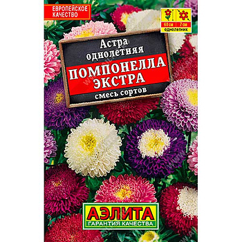 Астра Помпонелла Экстра "Лидер" Аэлита Ц 