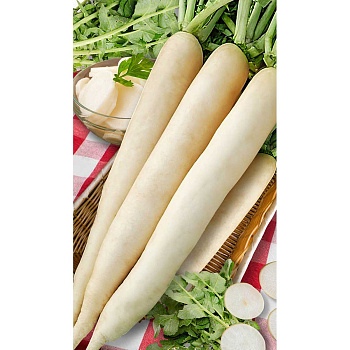 Дайкон Миноваси РС 1гр Садовита Ц