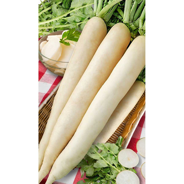 Дайкон Миноваси РС 1гр Садовита Ц