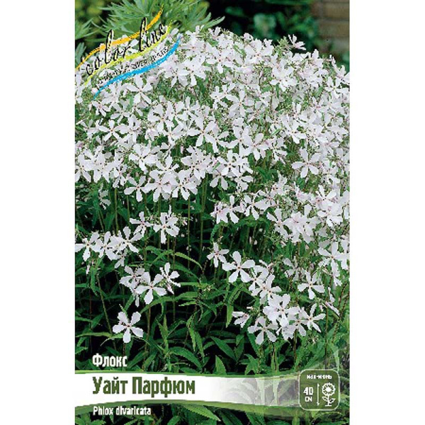 Флокс Уайт Парфюм I 2 шт