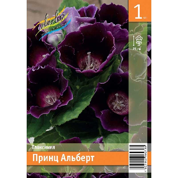 Глоксиния Принц Альберт 5/6 1 Эконом шт 