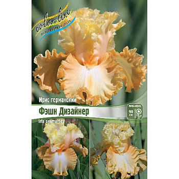 Ирис Германский Фэшн Дизайнер I 25 шт Биг-пак 4125