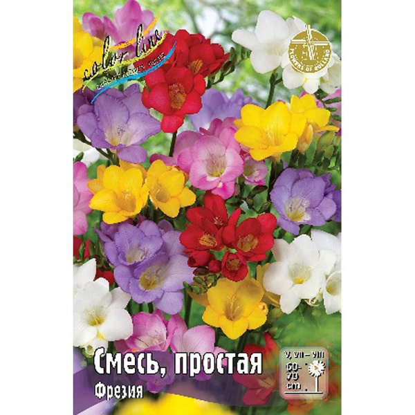 9234 Шоу-Бокс Фрезия Смесь, Простая 5/6 200 шт