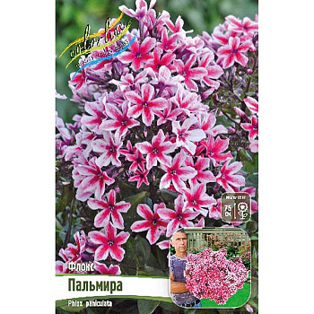 Флокс Пальмира I 25 шт Биг-Пак 13259 
