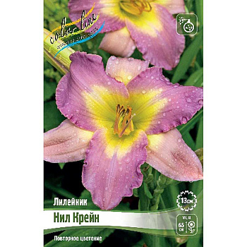 Лилейник Нил Крейн I 1 шт