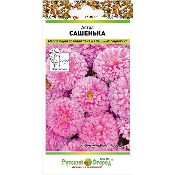 Семена Астра Сашенька НК Ц 