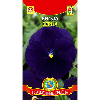 Виола Берна Плазма Ц 