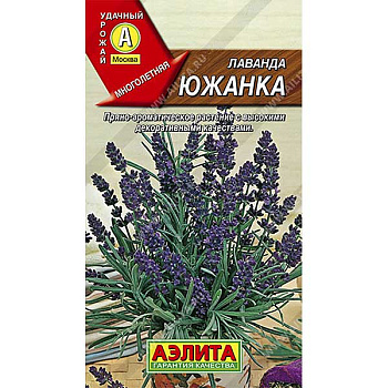 Лаванда Южанка  Аэлита Ц