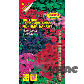 Петуния Черный бархат Аэлита Ц 