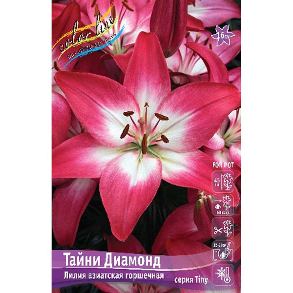 Биг-Пак Лилия Тайни Диамонд 14/16 25 шт 