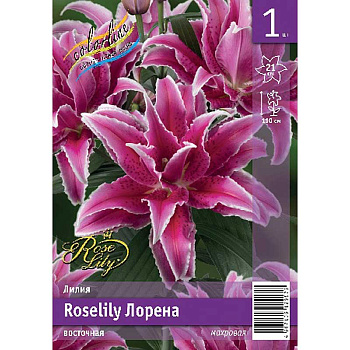 Лилия Roselily Лорена 12/14 1 Эконом шт 