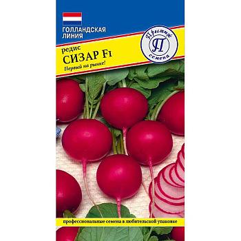 Редис Сизар Престиж Ц