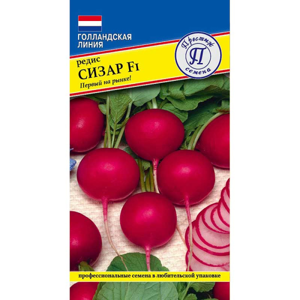 Редис Сизар Престиж Ц