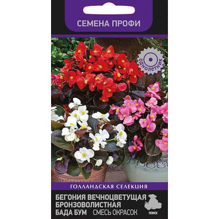 КОМ Бегония вечноцветущая бронзоволистная Бада Бум Микс Поиск Ц 
